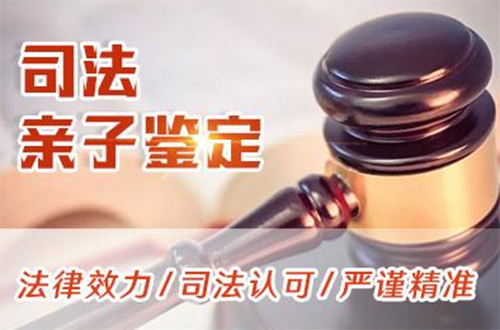 宜昌司法DNA鉴定具体流程,宜昌司法DNA亲子鉴定如何做